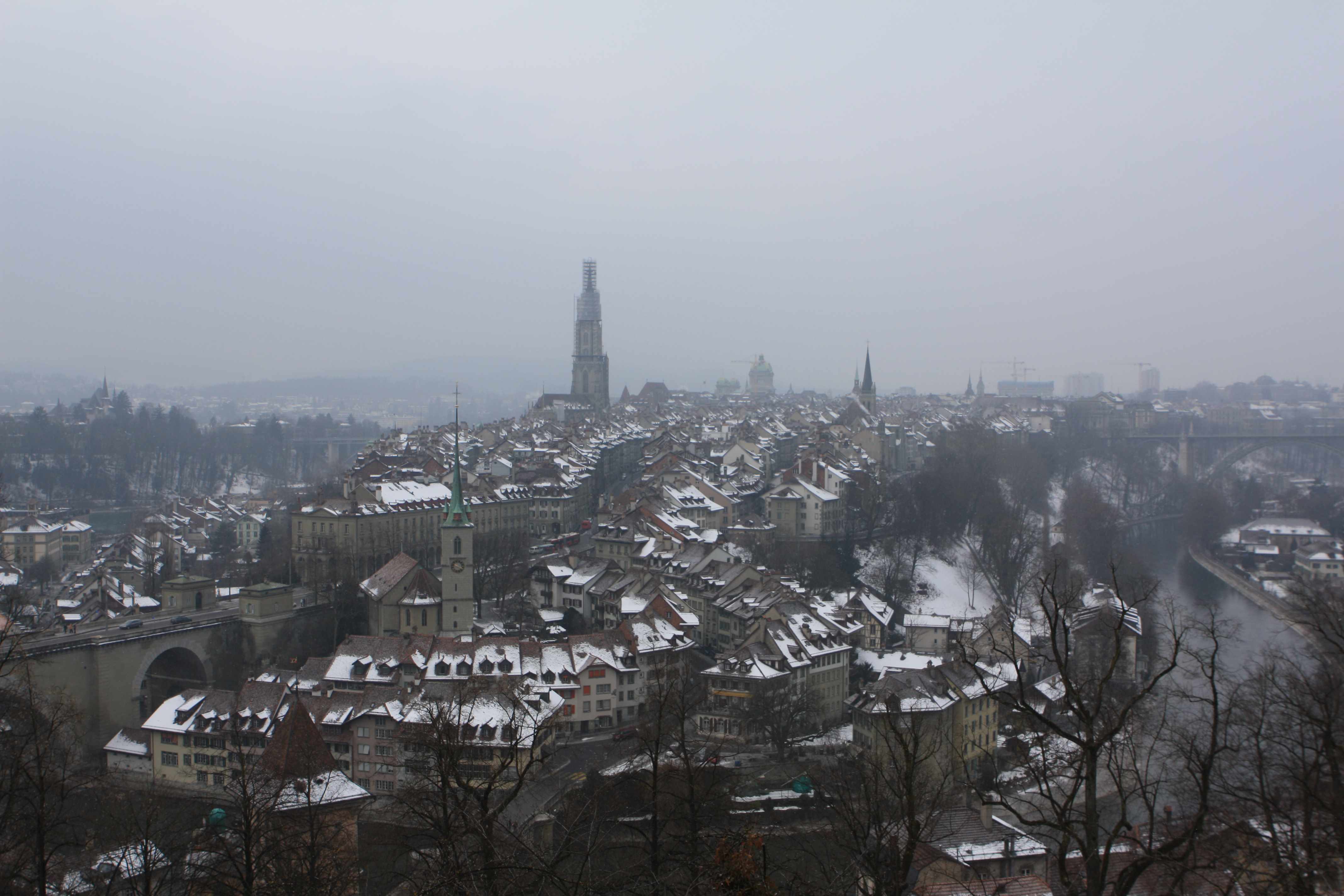 bern1