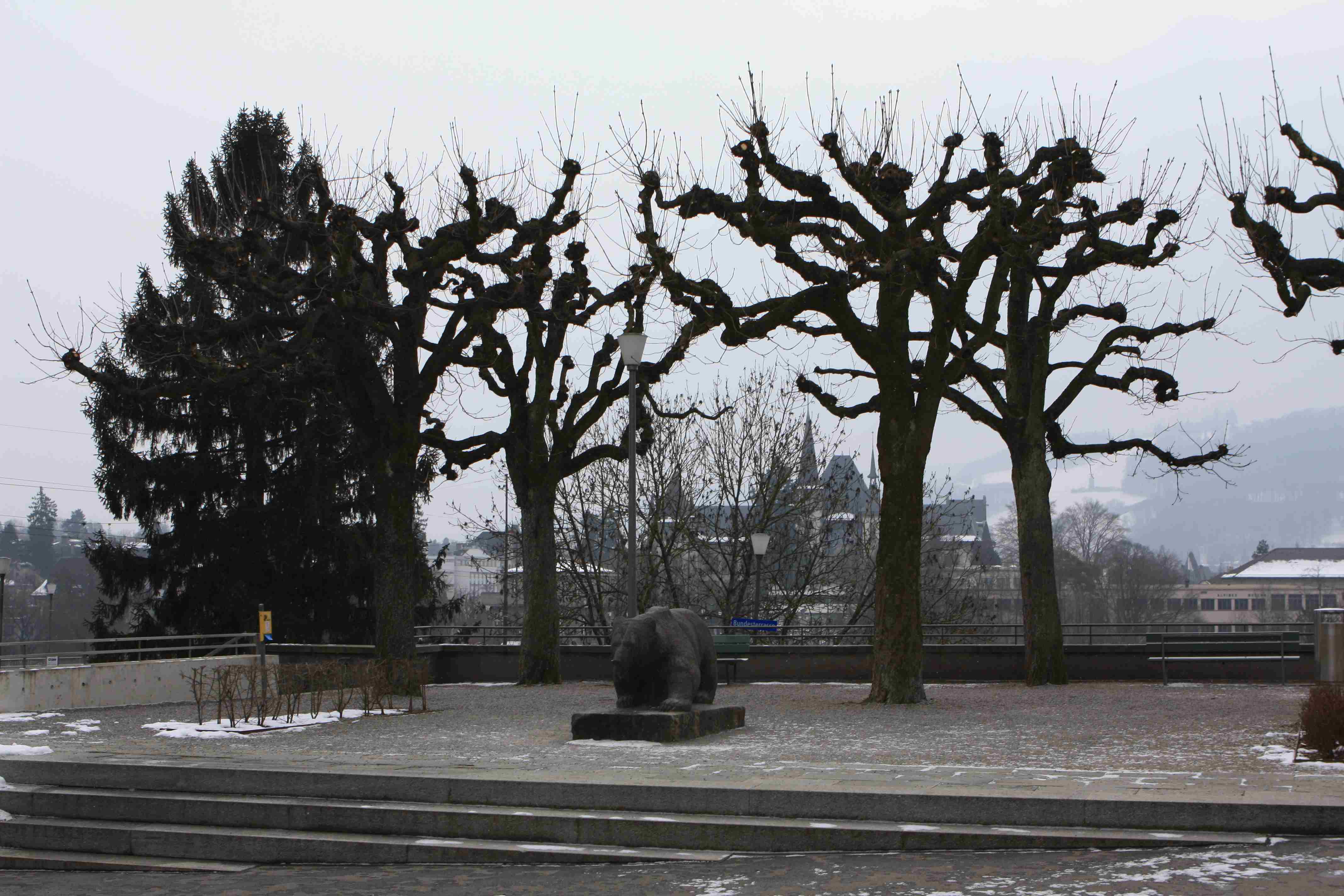 bern3