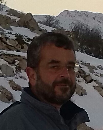 Prof. Ari Laor