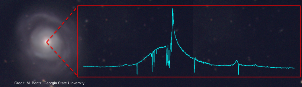 Deciphering AGN outflows: Multiwavelength monitoring of NGC5548