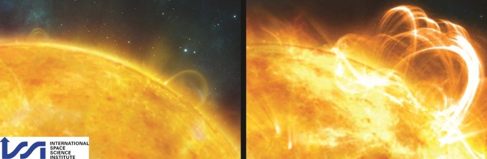 Quasi-periodic Pulsations in Stellar Flares: a Tool for Studying the Solar-Stellar Connection