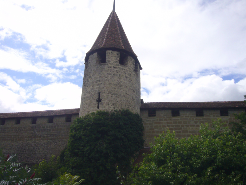 P1010046