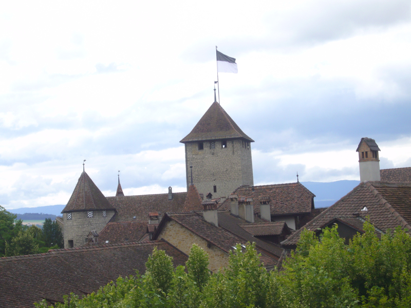 P1010068