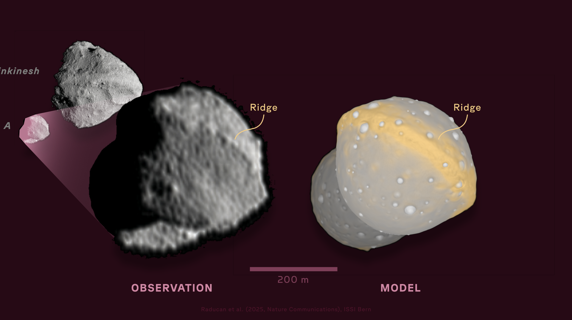 Images of Dinkinesh and its moon, Selam, compared to simulation. Graphic from Raducan et al. (2025) adjusted by Fabio Crameri, ISSI.