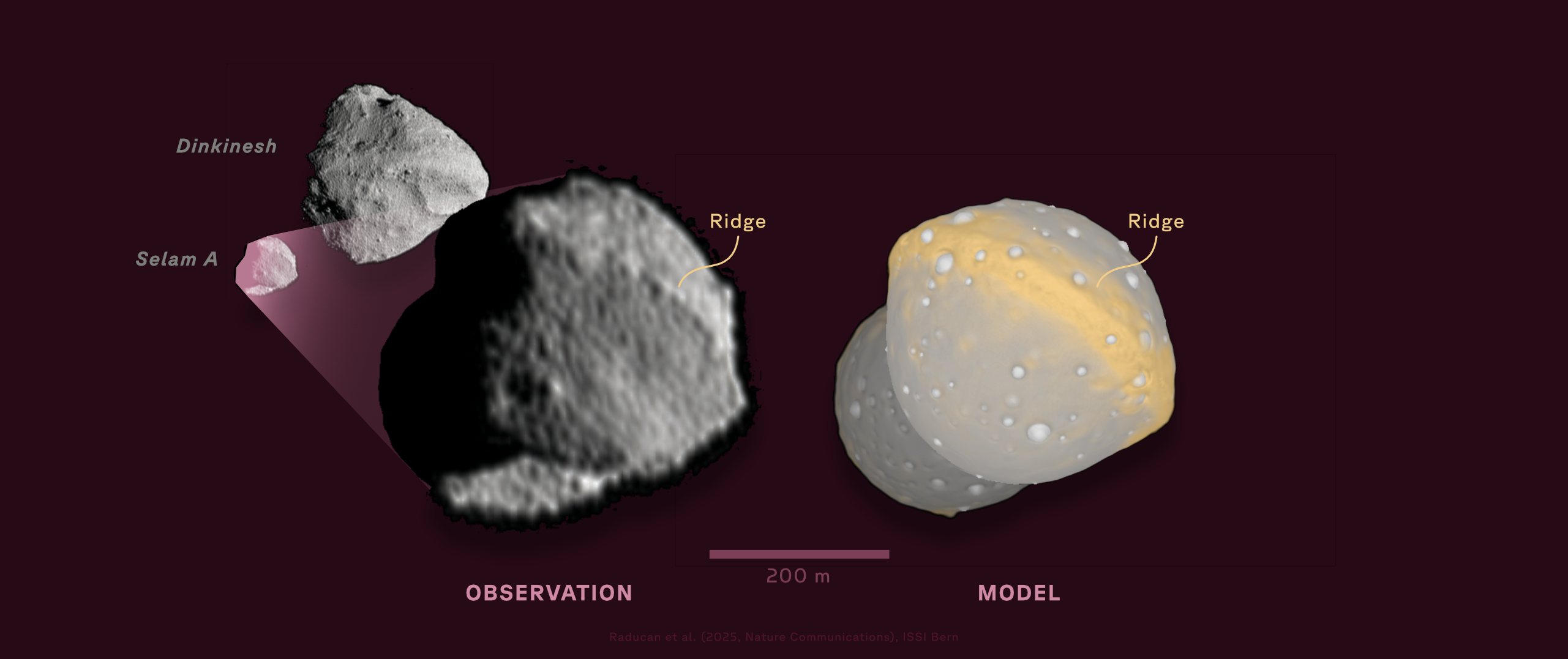 Images of Dinkinesh and its moon, Selam, compared to simulation. Graphic from Raducan et al. (2025) adjusted by Fabio Crameri, ISSI.
