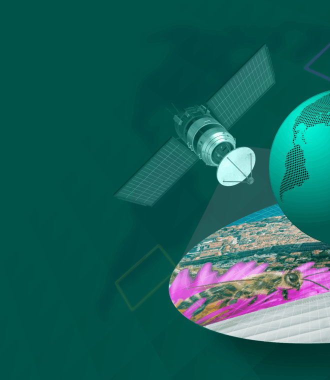 Using Earth Observation Systems to Improve Climate Adaptation Policy and Action. Graphic by Fabio Crameri, ISSI.