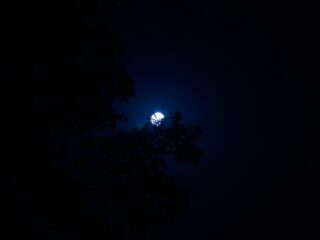 Solar Eclipse 2026 as seen in Bern, Switzerland. Image credit: Fabio Crameri
