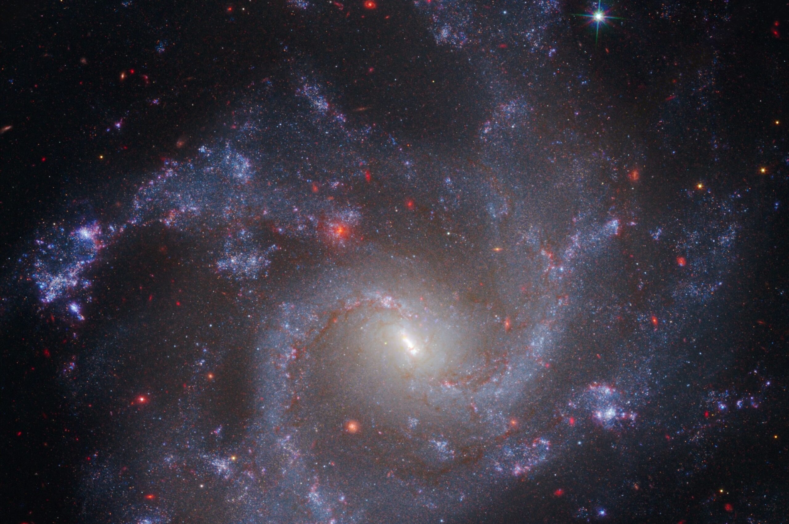 A face-on spiral galaxy with four spiral arms that curve outward in a counterclockwise direction. The spiral arms are filled with young, blue stars and peppered with purplish star-forming regions that appear as small blobs. The middle of the galaxy is much brighter and more yellowish, and has a distinct narrow linear bar angled from 11 o’clock to 5 o’clock. Dozens of red background galaxies are scattered across the image. The background of space is black. Credit NASA, ESA, CSA, STScI, A. Riess (JHU/STScI)