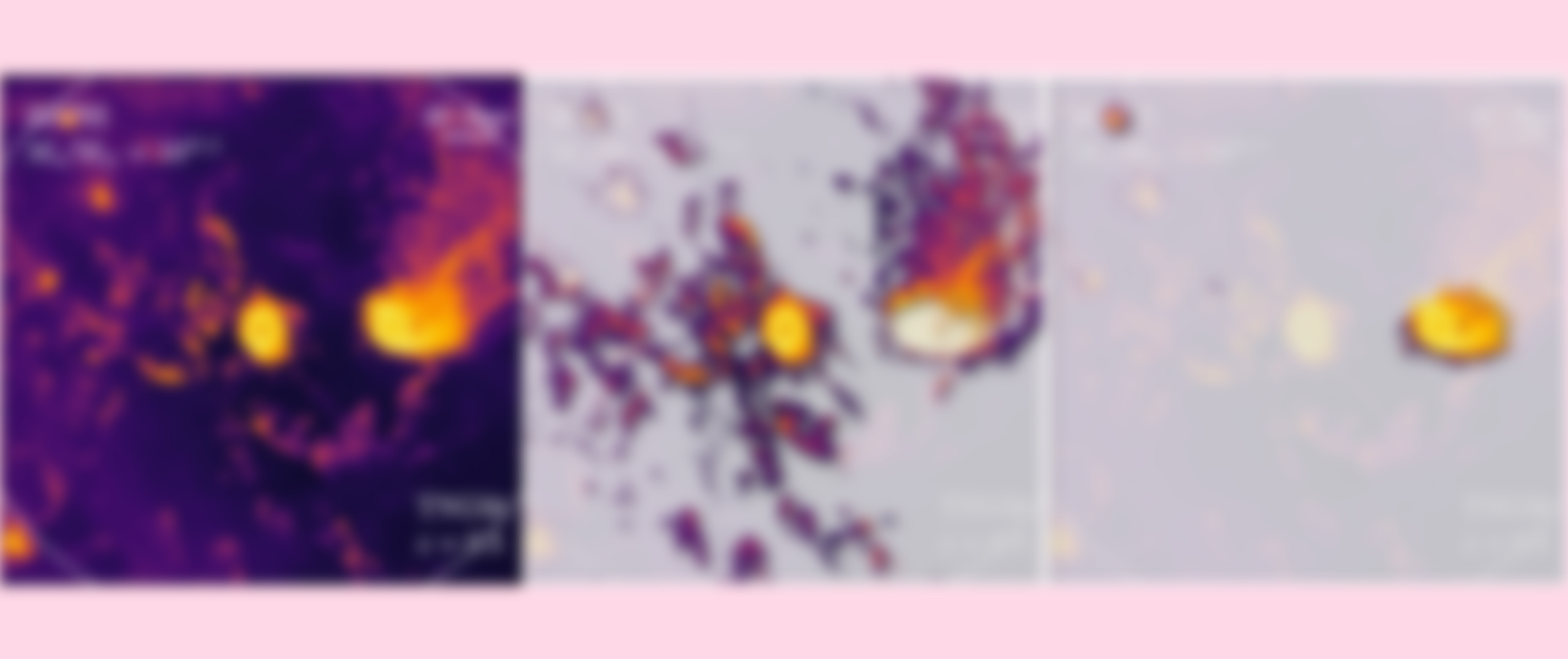 Blurry header image of figure shown in the text.